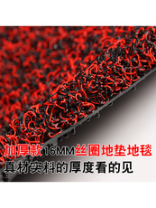 ковер 丝圈地毯脚垫可裁剪家用地垫进门入户门垫门厅防滑垫塑料地垫吸尘