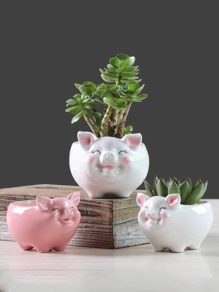 Simple cartoon fleshy flowerpot ceramic creative move, lovely pig sitting room plant white flower pot money plant
