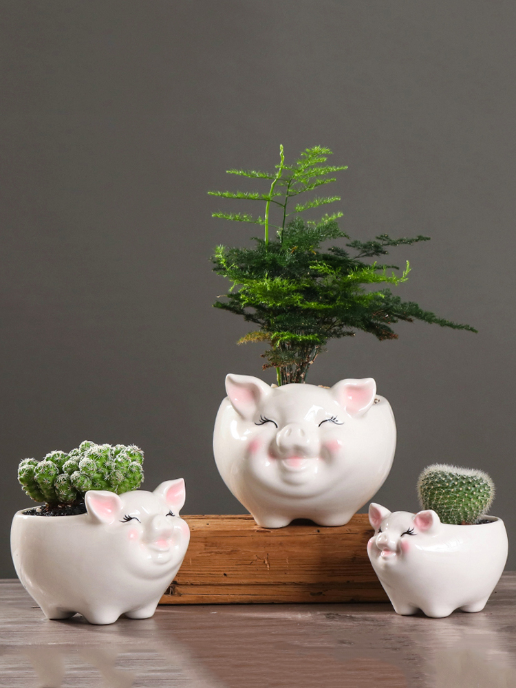 Express cartoon pig meat flowerpot creative move more small green plant asparagus other animals potted flower exchanger with the ceramics