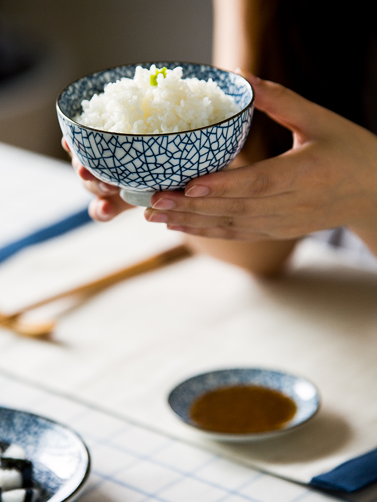 Modern Japanese housewife two food suits for ceramic tableware plate household food dish fish dish dishes spoon plate suit