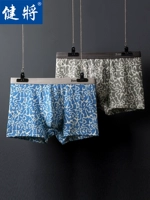 Jian nam Đồ lót nam Boxer Thể thao Ice Silk Boxer Quần Thanh niên Sexy Quần thoáng khí Sinh viên Quần Quà tặng - Bộ quà tặng quần lót chữ c