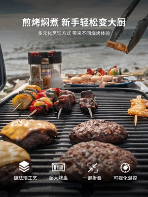 WeberTraveler bếp nướng gas ngoài trời sân nhà biệt thự bếp nướng di động bep cam trai bếp cồn khô đi phượt 