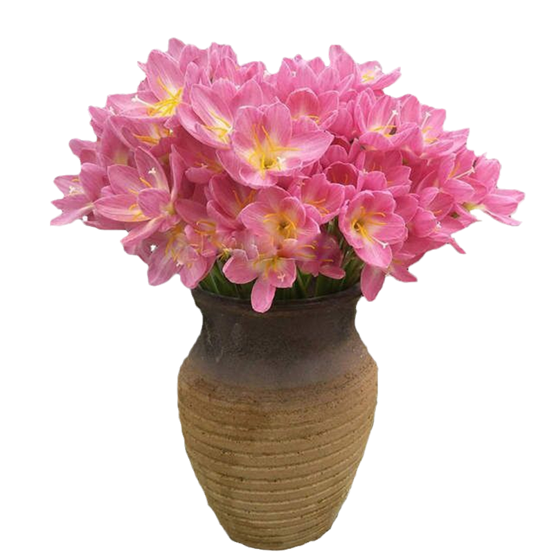 花卉圖14 花朵圖案包| 2025年首次亮相| LAZONA川崎廣場