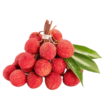 In stock old tree lychees fresh black leaves seasonal fruits whole box for pregnant women white sugar smiling poppies glutinous rice 5