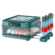 Incubator small fully automatic incubator household smart egg incubator rutin chick quail duck goose incubator