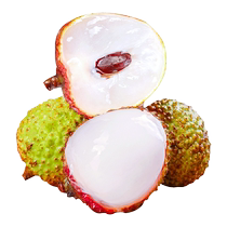 Feizixiao lychee Hainan 5 pounds freshly picked sweet fresh fruit seasonal osmanthus white sugar flavored poppy fruit SF Express the next day
