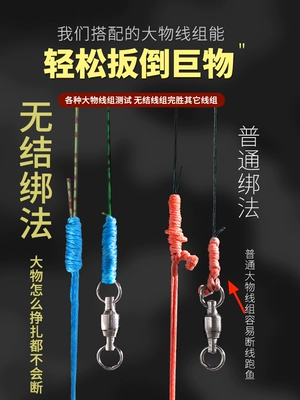 Nhóm dây câu lớn được gắn với bộ đầy đủ các thành phần dây chính có độ bền kéo mạnh dây câu khổng lồ cá trích chính hãng cá chép bạc và cá chép đầu to cước câu cá tarantula cước câu cá justron 