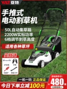 Máy cắt cỏ đẩy Yate, máy cắt cỏ đẩy gia đình nhỏ, máy cắt cỏ sân vườn, máy cắt cỏ chạy điện