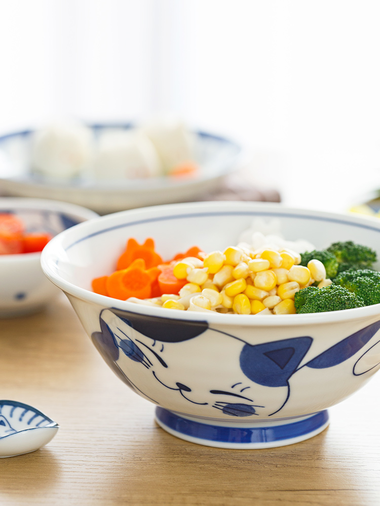 Japanese and wind household ceramics express cat plate Japan creative dish bowl of soup bowl rainbow such as bowl dish dish dish