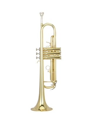 Virtue nhỏ MTR-501 .. B kèn hai màu phẳng Nhạc cụ nhỏ - Nhạc cụ phương Tây đàn nguyệt Nhạc cụ phương Tây