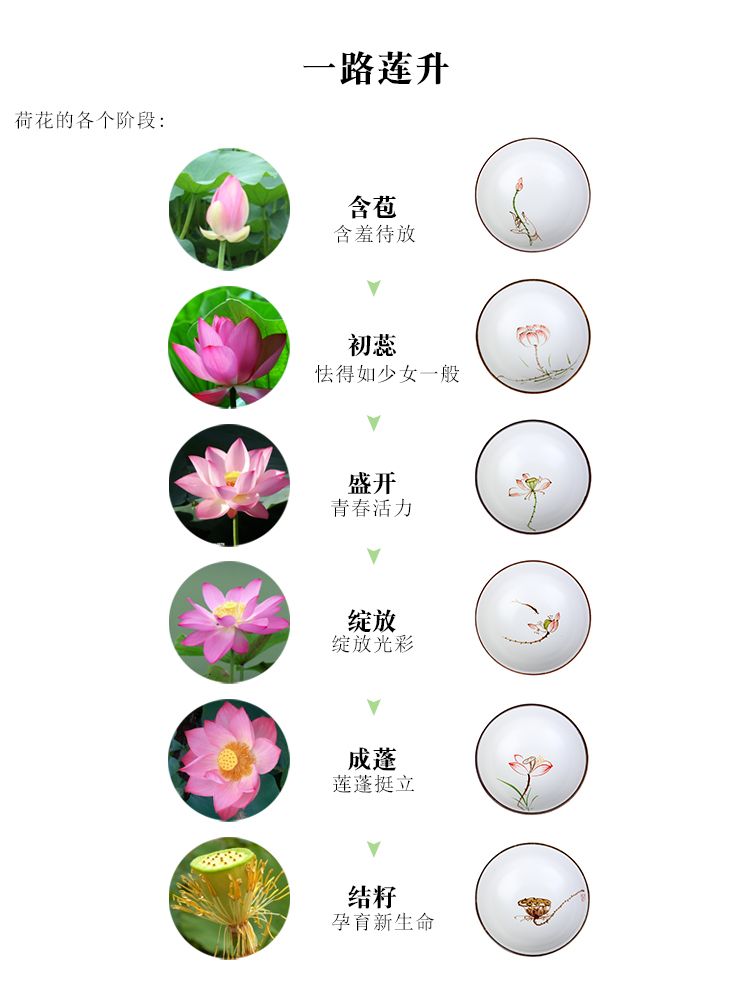 Small hand - made ceramic sample tea cup kung fu tea cups suit household 6 pack Small bowl tea tea cup