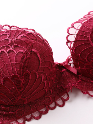 Girl Beauty House Winter thêu Đồ lót Bra Set Sexy Bra Set Phần mỏng với vòng thép ngực lớn khoe mỏng đồ lót ibasic Bộ đồ lót