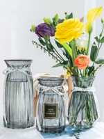 lọ hoa bàn tay phật Bộ ba chiếc bình thủy tinh phong cách Bắc Âu, hoa khô trong suốt, cắm hoa phòng khách, đồ trang trí hoa huệ thủy canh pothos chậu đất