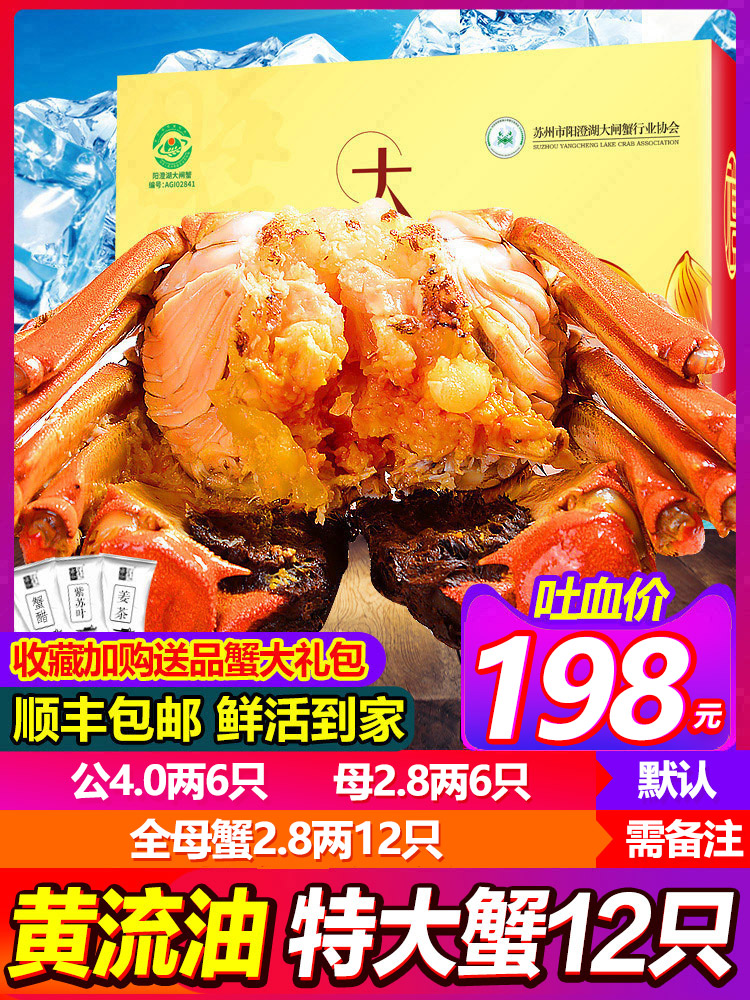 现货 副会长单位 阳澄湖大闸蟹 单只2.8两 全母蟹 共12只 图1