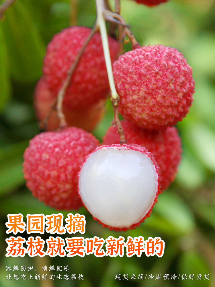 产地现摘现发：让您品尝最新鲜的美味
