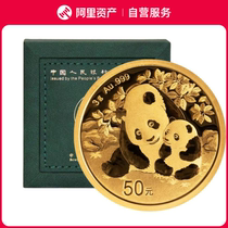 2024 Panda Gold Coin 3g with Green Box Panda Coin Commemorative Coin Collection