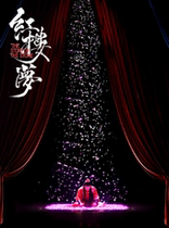 Chinese aesthetic classic costume drama A Dream of Red Mansions