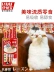 Đồ ăn nhẹ cho mèo Inabao tuyệt vời 啾 dinh dưỡng cho mèo ăn bánh pudding mèo con đóng hộp thức ăn ướt tươi mèo 4 gói - Đồ ăn nhẹ cho mèo Hạt Whiskas cho mèo con Đồ ăn nhẹ cho mèo