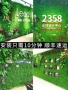 Nhà máy mô phỏng tường cây xanh tường nhựa giả hoa cỏ trang trí tường cỏ xanh tường nền tường hình ảnh tường - Hoa nhân tạo / Cây / Trái cây giả hạc