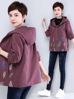 mùa thu phụ nữ trung niên áo mẹ váy 2019 mới nữ hoang dã lỏng áo bông áo khoác mùa xuân và mùa thu - Áo khoác ngắn áo kiểu nữ