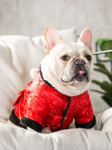 FA DO DO Одежда для щенка собака Tangfu Хлопковая одежда Fasue naba yue dog newge guls собака с густым осенней зимой