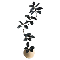 Simulated green plant black diamond rubber tree fake plant bionic potted plant next to indoor sofa large living room floor-standing ornament