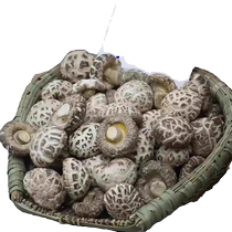 Flower mushrooms shiitake mushrooms new arrivals non-basswood wild farm-grown selections winter flower nut nutritious mushrooms dried mushrooms