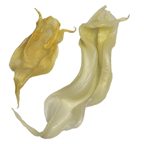 Beihai glue dry goods fish glue glue fish pickled fish male and female belly fish fat Fuying fish maw flagship store seafood