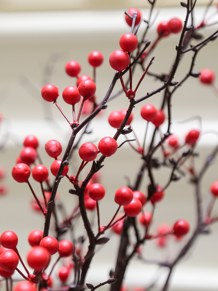 High - grade large branches of red berry fruit wutong fruit large ground dried flowers floral furnishing articles pottery decorative flower arrangement