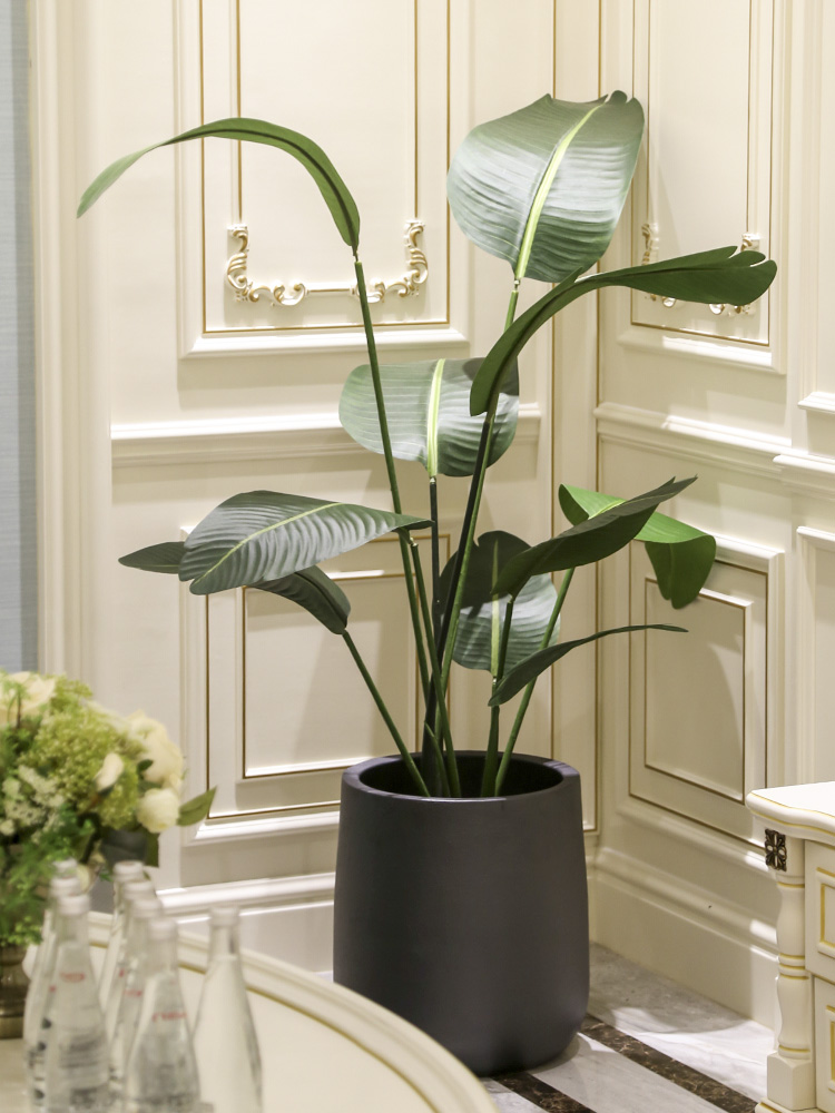 Nordic ceramic landing place to live in the sitting room the bedroom of false green plant decoration decoration artificial flowers, potted plant simulation