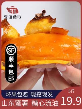 百货50条，全部是实用的玩意儿（ 07.11）