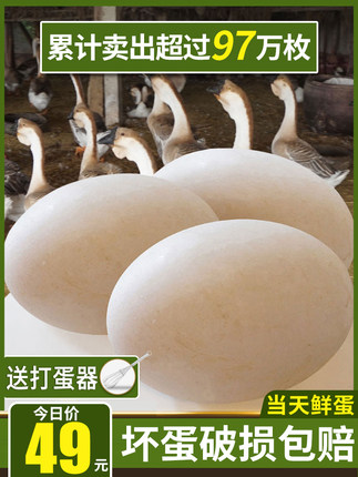 百货50条，全部是实用的玩意儿（ 07.01）