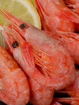 百货50条，全部是实用的玩意儿（ 06.08）