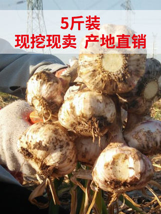 百货50条，全部是实用的玩意儿（ 05.28）