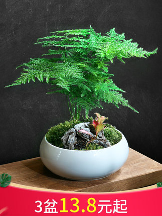 百货50条，全部是实用的玩意儿（06.30）