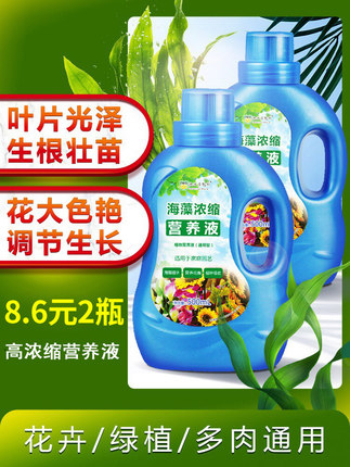 百货50条，全部是实用的玩意儿（ 08.12）