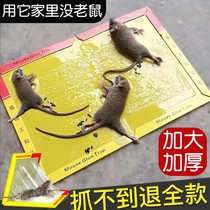 Sticky mouse strong adhesive mouse sticking mousetrap mouse clamp mouse sticking to rodent house