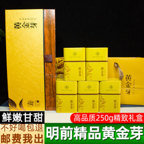 Yuci Tianyun Golden Bud 2021 New Tea Mingmei Premium Premium Anji White Tea Spring Tea 250g Gift Boxes