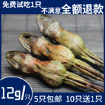  (Buy 10 get 1 free)Changbai Mountain whole snow clam dried 12 grams of Northeast forest frog dried snow clam oil hash ant