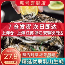 7 Warehouse Delivery (Shanghai warehouse) Rushan raw oysters fresh 5kg seafood aquatic products 10kg extra large shell fresh oysters