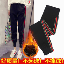 Plus Fattening Overweight Pregnant Woman Casual Pants External Wear Long Pants Autumn Winter Loose Sports Pants Plus Suede Thickened 200 catty mm