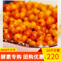 Wild fresh sea buckthorn fruit 20 pounds fresh fruit Lvliang specialty vinegar willow fruit super sea buckthorn enzyme juice