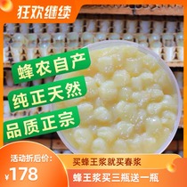 (Fat Bee Garden) 2021 spring pulp farm produced royal jelly 500 grams Shunfeng Air transport