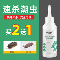  Tide insect medicine Household whole nest tide insect insecticide Rat woman watermelon insect insecticide powder Reptile nemesis cockroach deworming