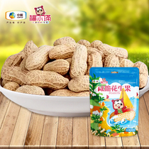 Promotional fresh date COFCO Fu Xiaofan daily nut salty crispy peanut kernel crispy casual snack 262g