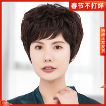 Wig female short hair full headgear fashion whole mother middle-aged and old white hair real hair reduced short curly hair