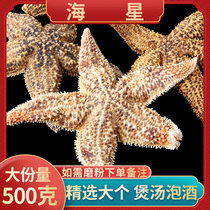 Sea Star Chinese Herbal Medicine 250g Sea Stars Dry Edible Bubble Wine Saucepan Soup Material Size Deep Sea Thorn sea 5-Star Haipan Car