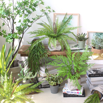  Simulation green plant fern leaf grass basic fern potted home restaurant office desktop bonsai ornaments