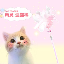 Teasing the cat Cat Toy Ball Little Cat Infant Cat bell Cat Cat Feather Fairy Fighting Cat Baseball God Instrumental Kitty cat Pet Supplies