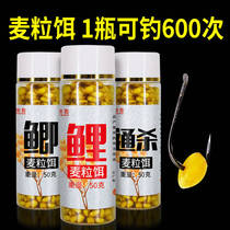 Wheat grain bait material wild fishing black pit crucian carp carp grass carp Old altar wheat bait Corn grain particles hook fishing